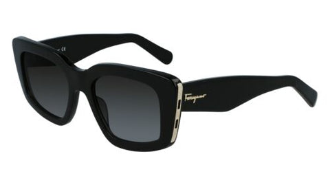 Salvatore Ferragamo SF1024S 001 52